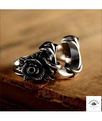 Bague Femme Fer à Cheval (Argent) Véritable concentré