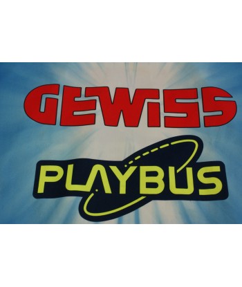 Maillot vélo rétro Biemme Gewiss Playbus france