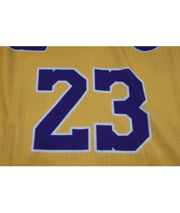 Maillot NBA rétro Lakers Los Angeles 23 James de votre