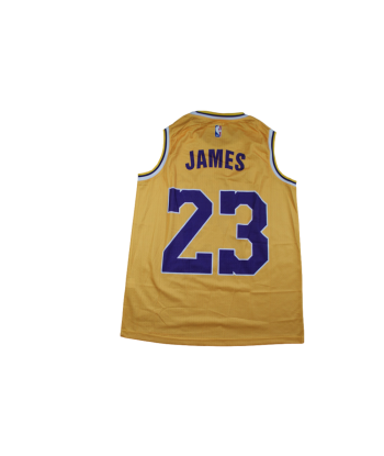 Maillot NBA rétro Lakers Los Angeles 23 James de votre