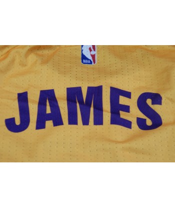 Maillot NBA rétro Lakers Los Angeles 23 James de votre