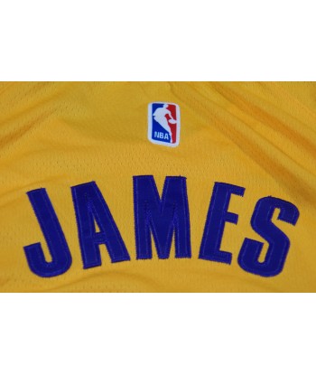 Maillot NBA vintage Lakers Los Angeles 23 James le des métaux précieux