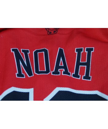 Maillot NBA rétro Bulls Chicago 13 Noah acheter en ligne