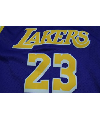 Maillot et short basket rétro Lakers Los Angeles 23 James NBA des créatures d'habitude