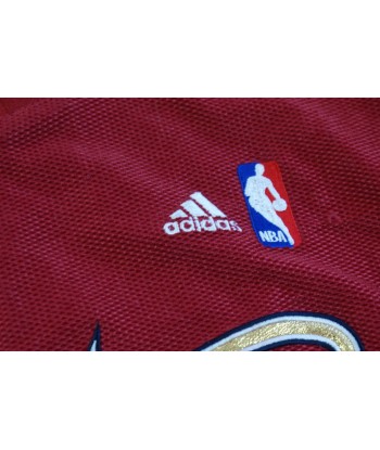 Veste basket rétro Timberwolves Minnesota The West NBA Amélioration de cerveau avec