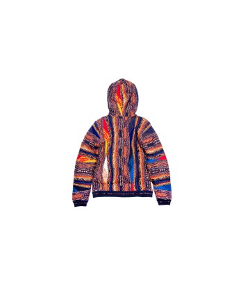 Coogi Native Zip Hoody france